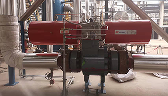 z6com-中国唯一官网